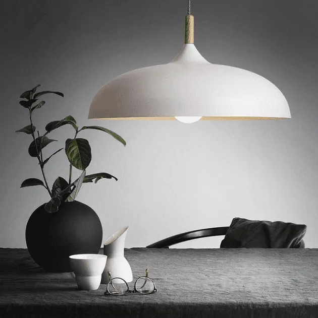 Silke - Modern Style Pendant Lamp in colored aluminum and wood